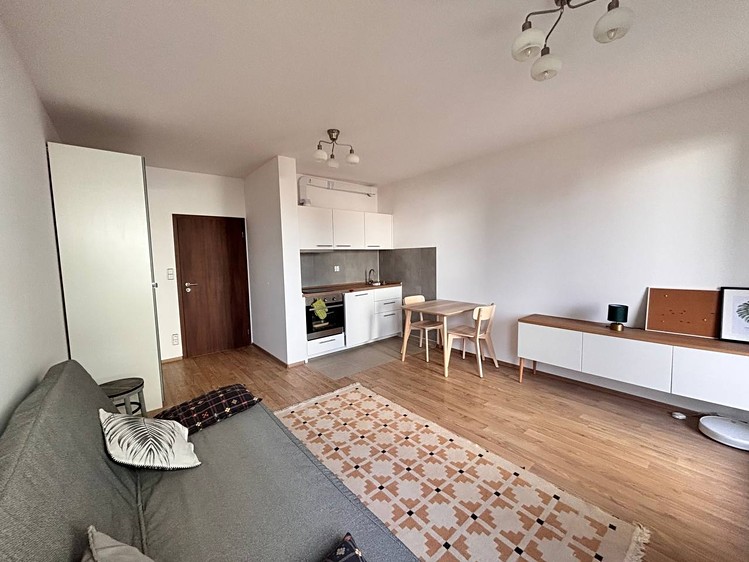 Wohnung 1+kk zur Miete, 30 m² (7 von 13)
