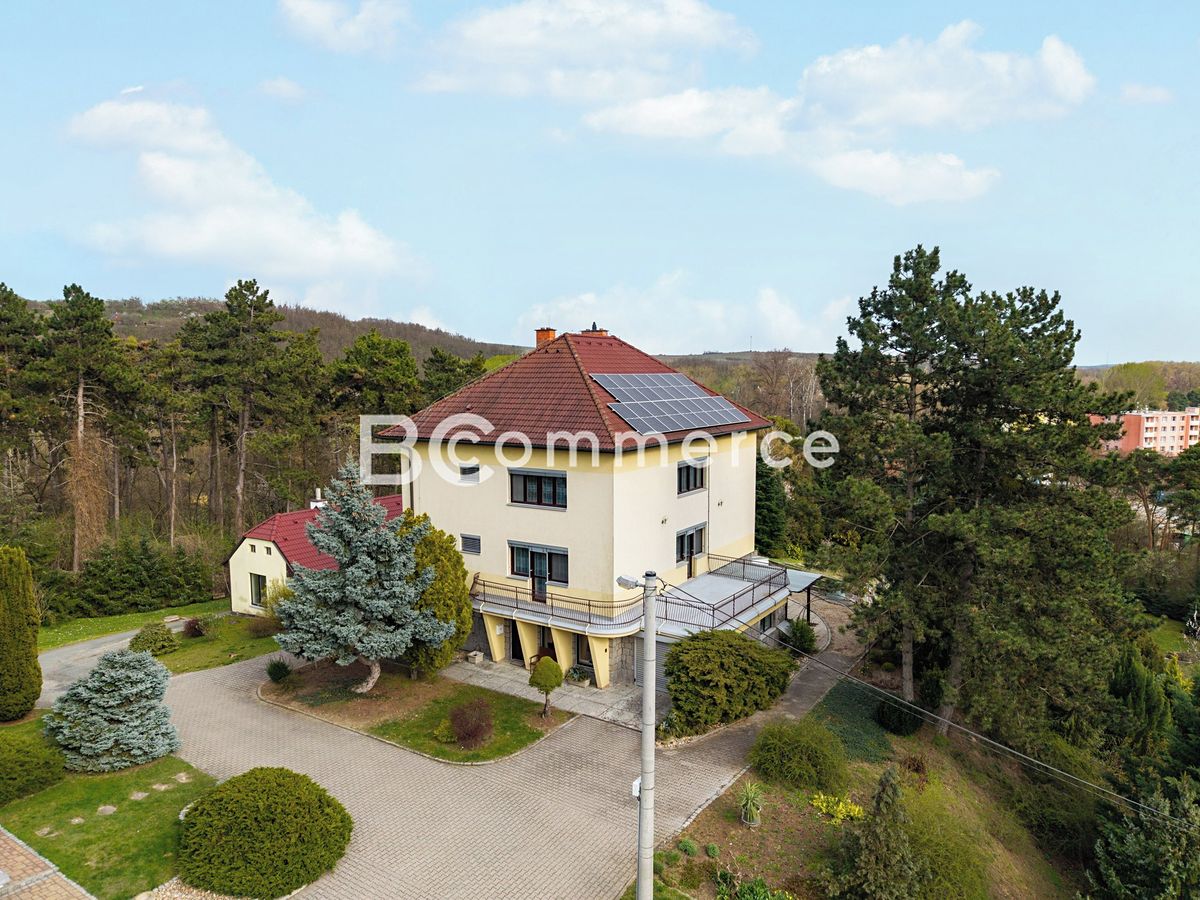 Prodej vily 270 m², pozemek 4446 m² – fotografie 2