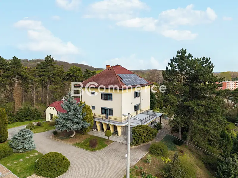 Prodej vily 270 m², pozemek 4446 m², Dolní Kounice – náhled fotky 2