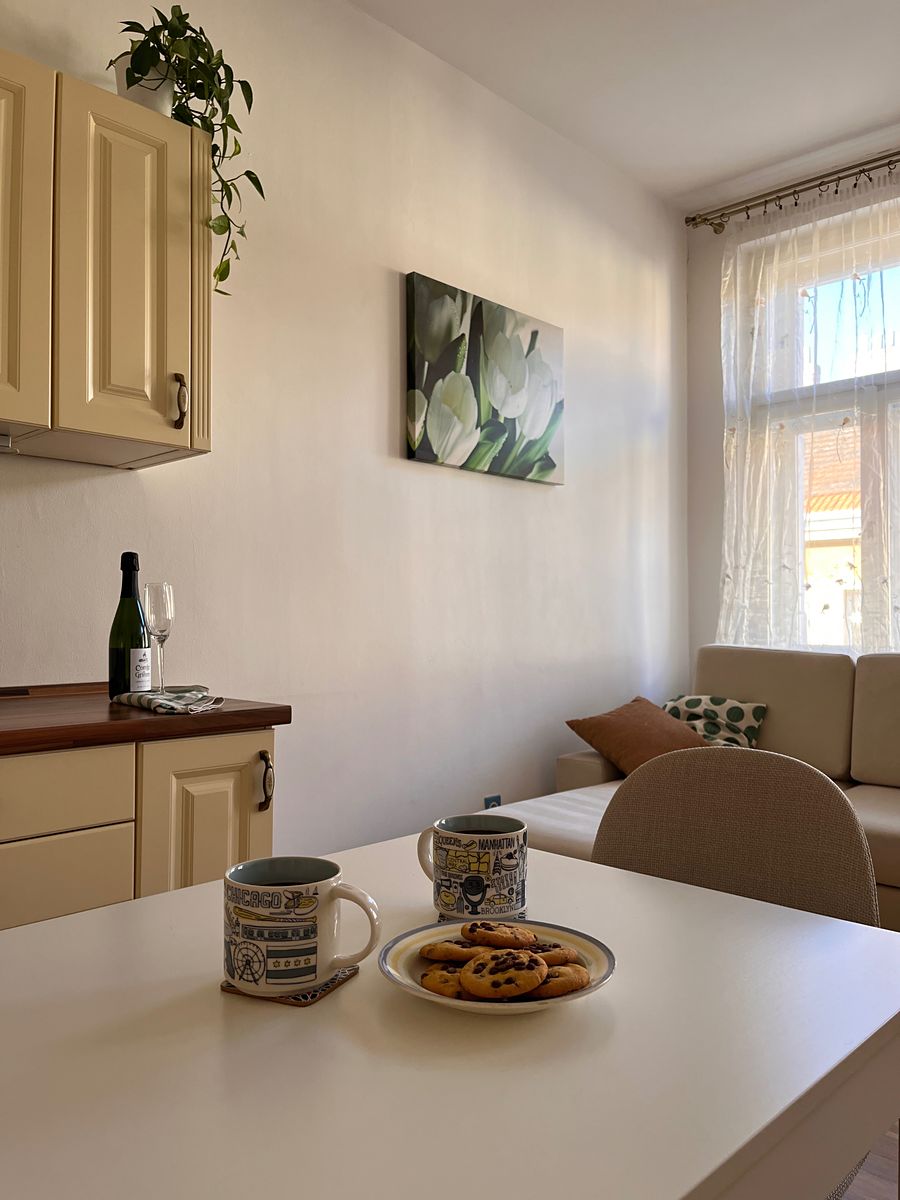Pronájem bytu 2+kk 40 m²