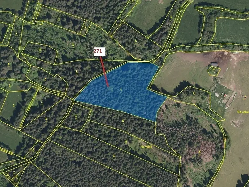 Dražba lesa 8937 m², Zálezly – náhled fotky 2