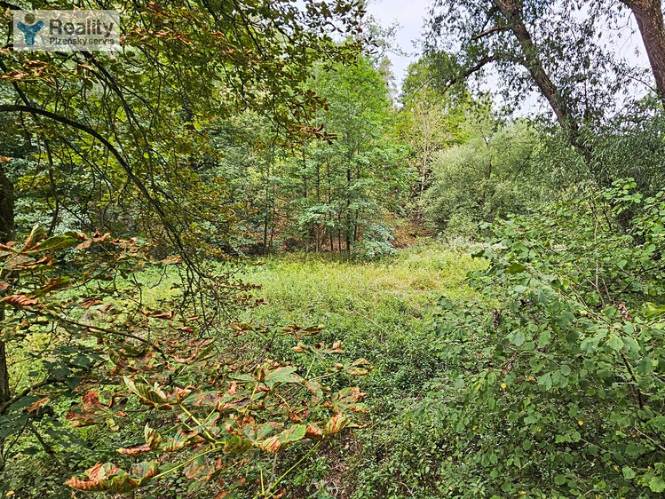 Ділянка на продаж, 3 589 м² (5 з 7)