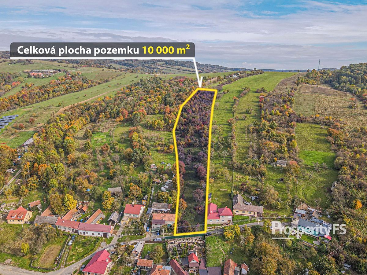 Prodej stavebního pozemku 10000 m² – fotografie 3