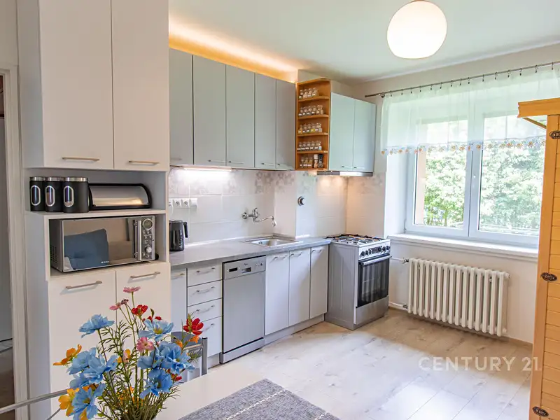 Prodej bytu 1+1 42 m², Bohumín – náhled fotky 1