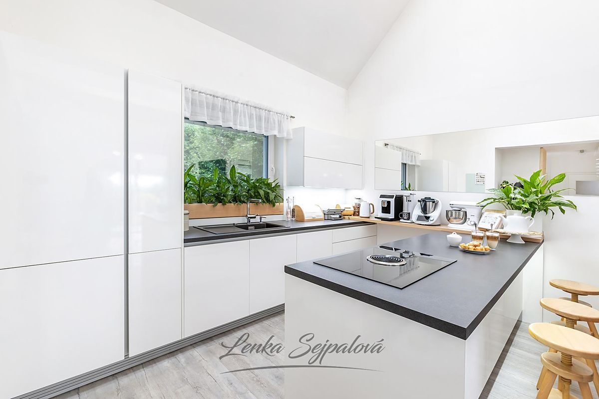Prodej rodinného domu 160 m², pozemek 1179 m² – fotografie 2