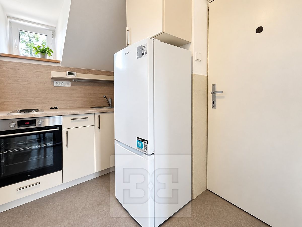 Pronájem bytu 1+kk 29 m²
