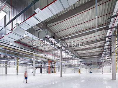 Pronájem skladového prostoru 5562 m²