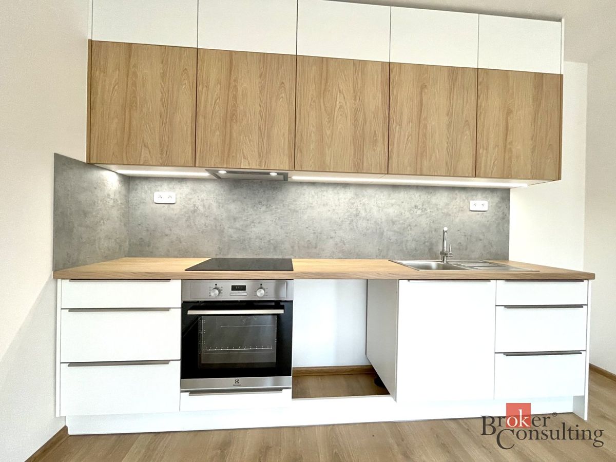Pronájem bytu 1+kk 52 m² – fotografie 4