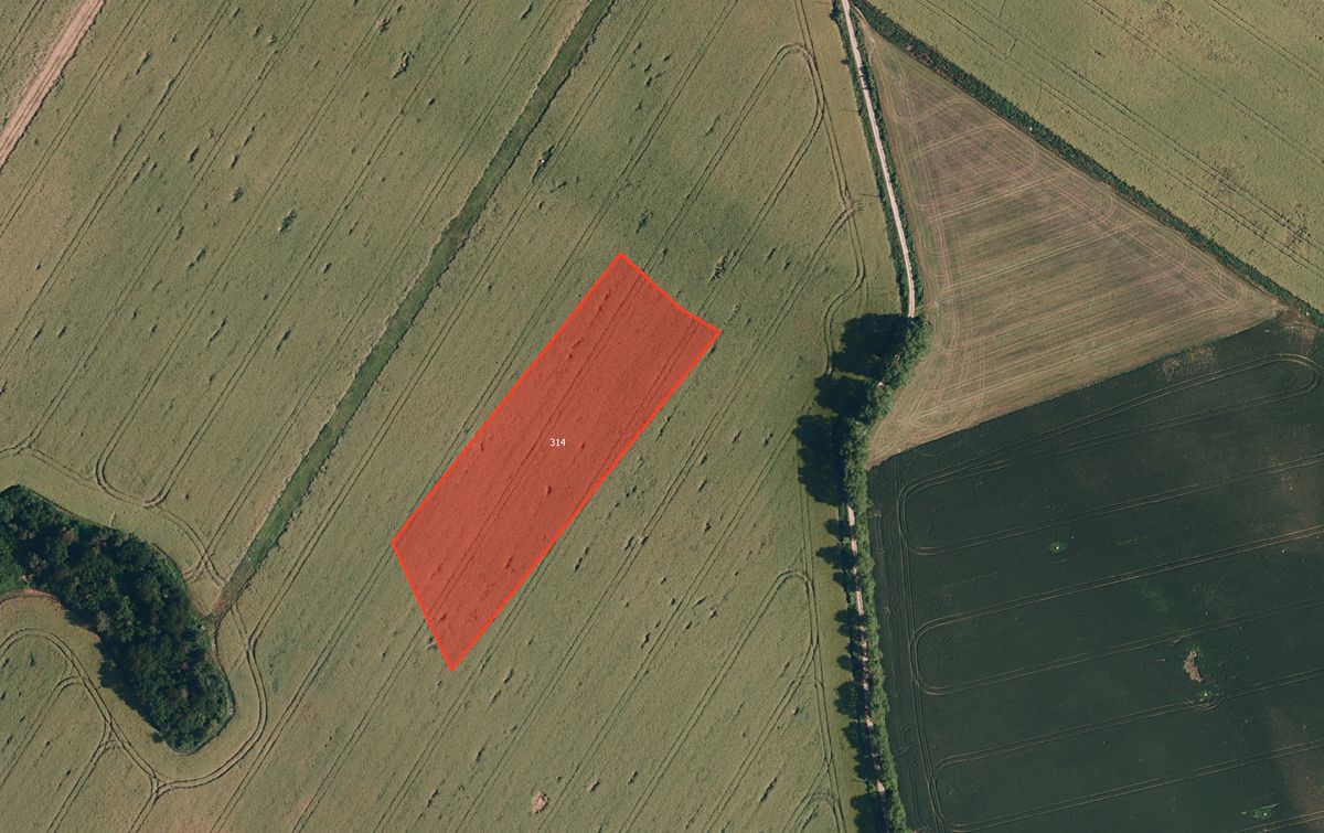 Prodej pole 13981 m²