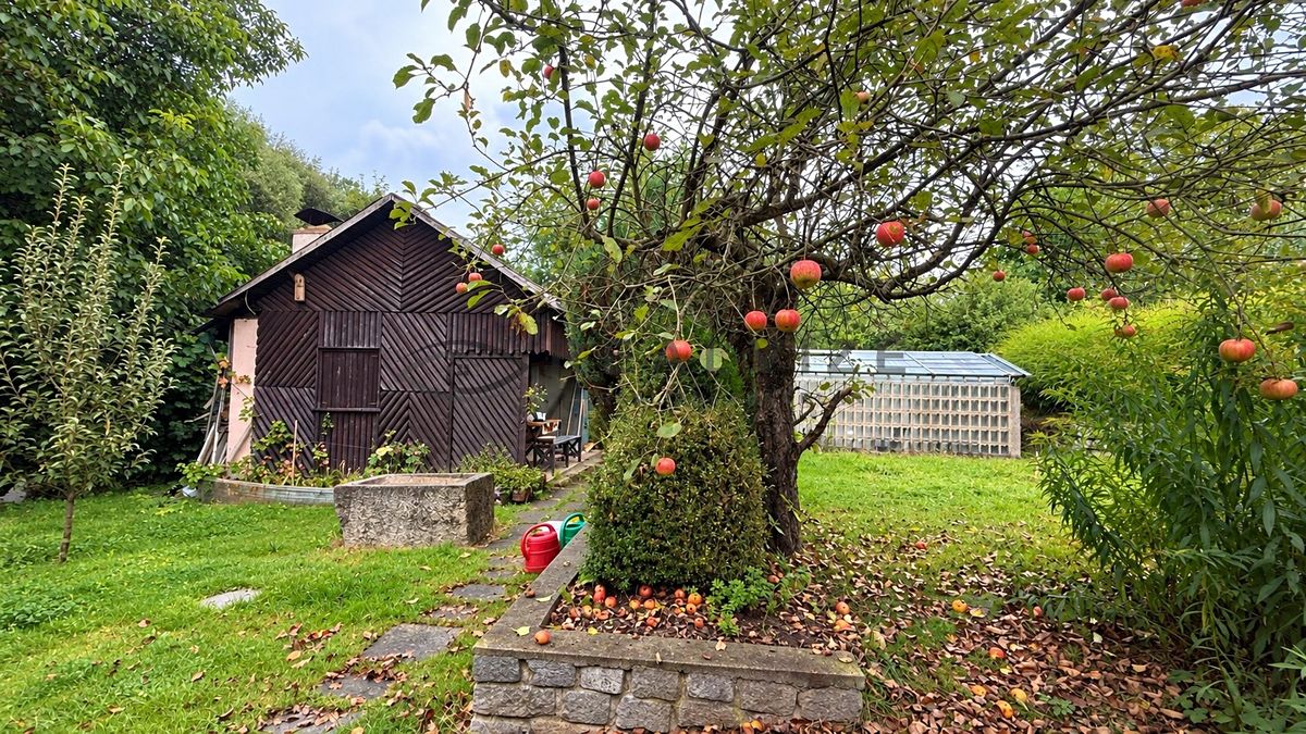 Prodej chaty 20 m², pozemek 511 m² – fotografie 5