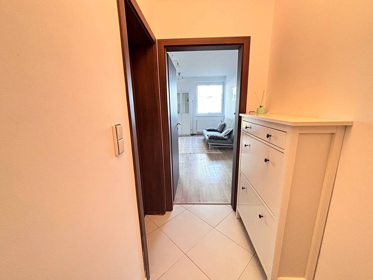 Wohnung 1+kk zur Miete, 30 m² (9 von 13)