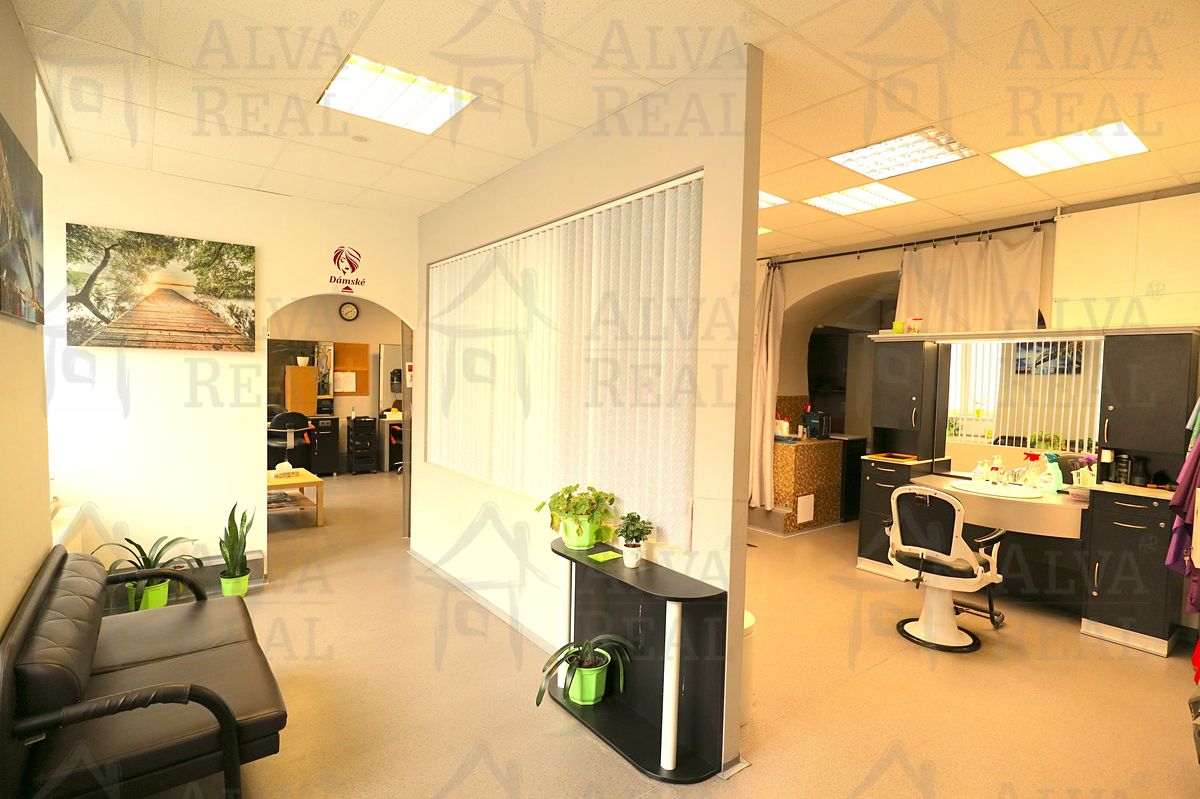 Prodej činžovního domu 510 m² – fotografie 4
