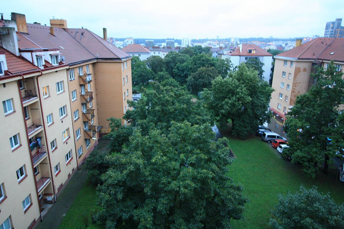 Pronájem bytu 2+1 55 m² – fotografie 4