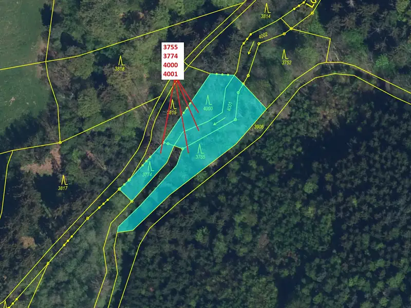Dražba lesa 1509 m², Osečnice – náhled fotky 2