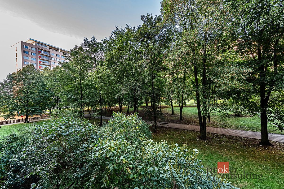 Pronájem bytu 2+kk 47 m² – fotografie 4