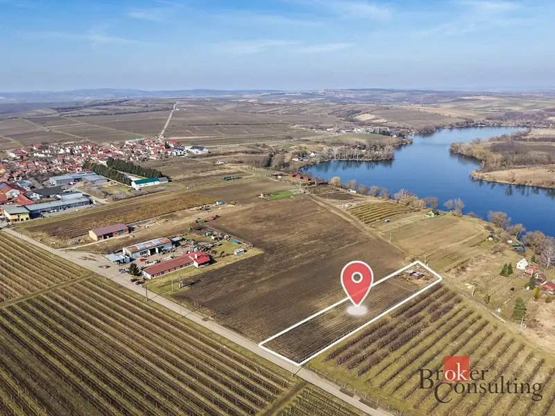 Prodej pozemku 2791 m², Velké Bílovice – náhled fotky 2