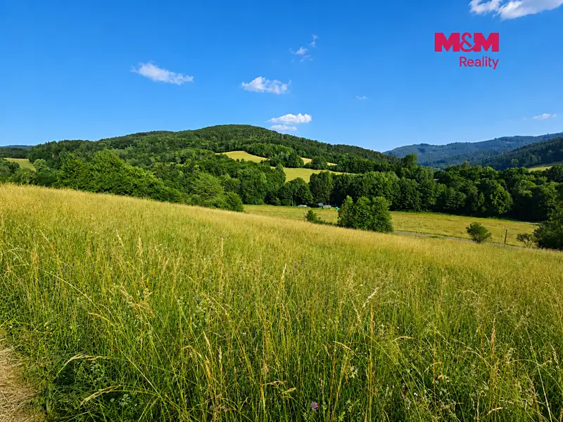 Prodej louky 4215 m², Lužná – náhled fotky 2
