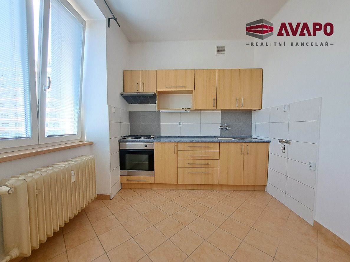 Pronájem bytu 1+1 45 m² – fotografie 4
