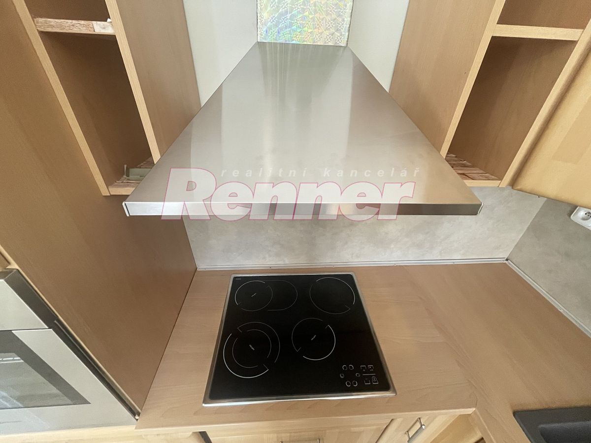 Pronájem bytu 1+1 44 m² – fotografie 4