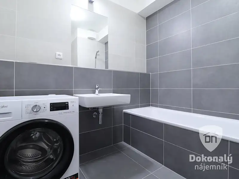 Pronájem bytu 1+kk 53 m², Praha – náhled fotky 3