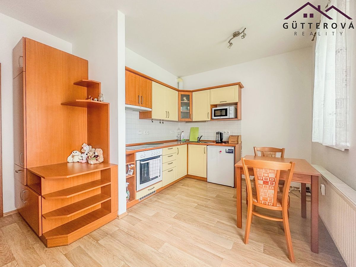 Pronájem bytu 1+kk 25 m² – fotografie 5