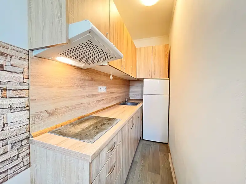 Pronájem bytu 1+kk 16 m², Hradec Králové – náhled fotky 3