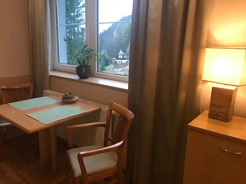 Pronájem bytu 1+kk 20 m², Harrachov – náhled fotky 2