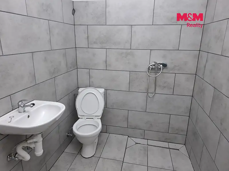 Pronájem bytu 1+kk 28 m², Verušičky – náhled fotky 3