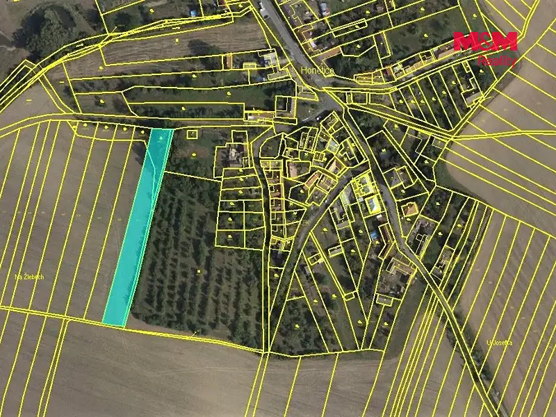 Prodej pole 2307 m², Honětice – náhled fotky 3