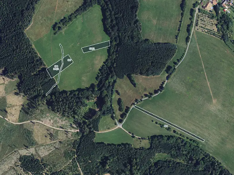Prodej louky 6863 m², Městečko Trnávka – náhled fotky 1