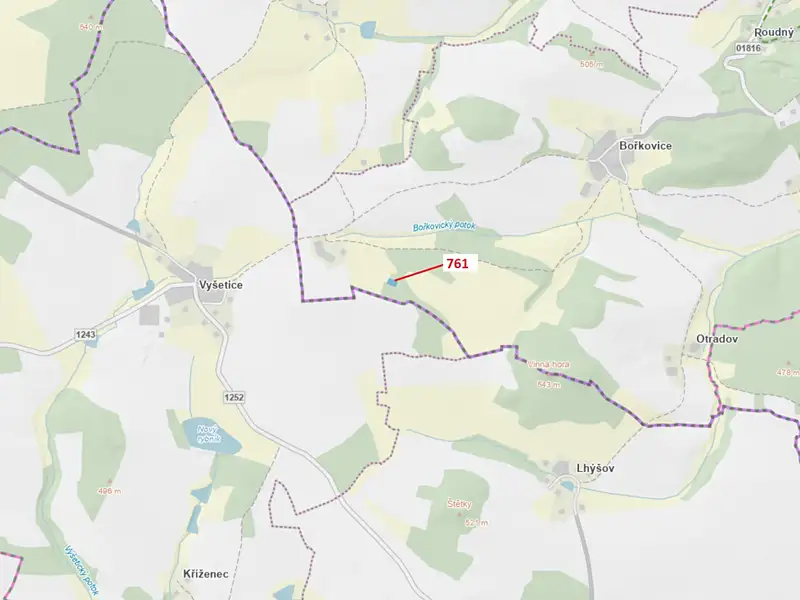 Dražba lesa 1092 m², Zvěstov – náhled fotky 1