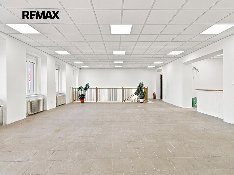 Pronájem komerčního prostoru, 171 m² (9 z 39)