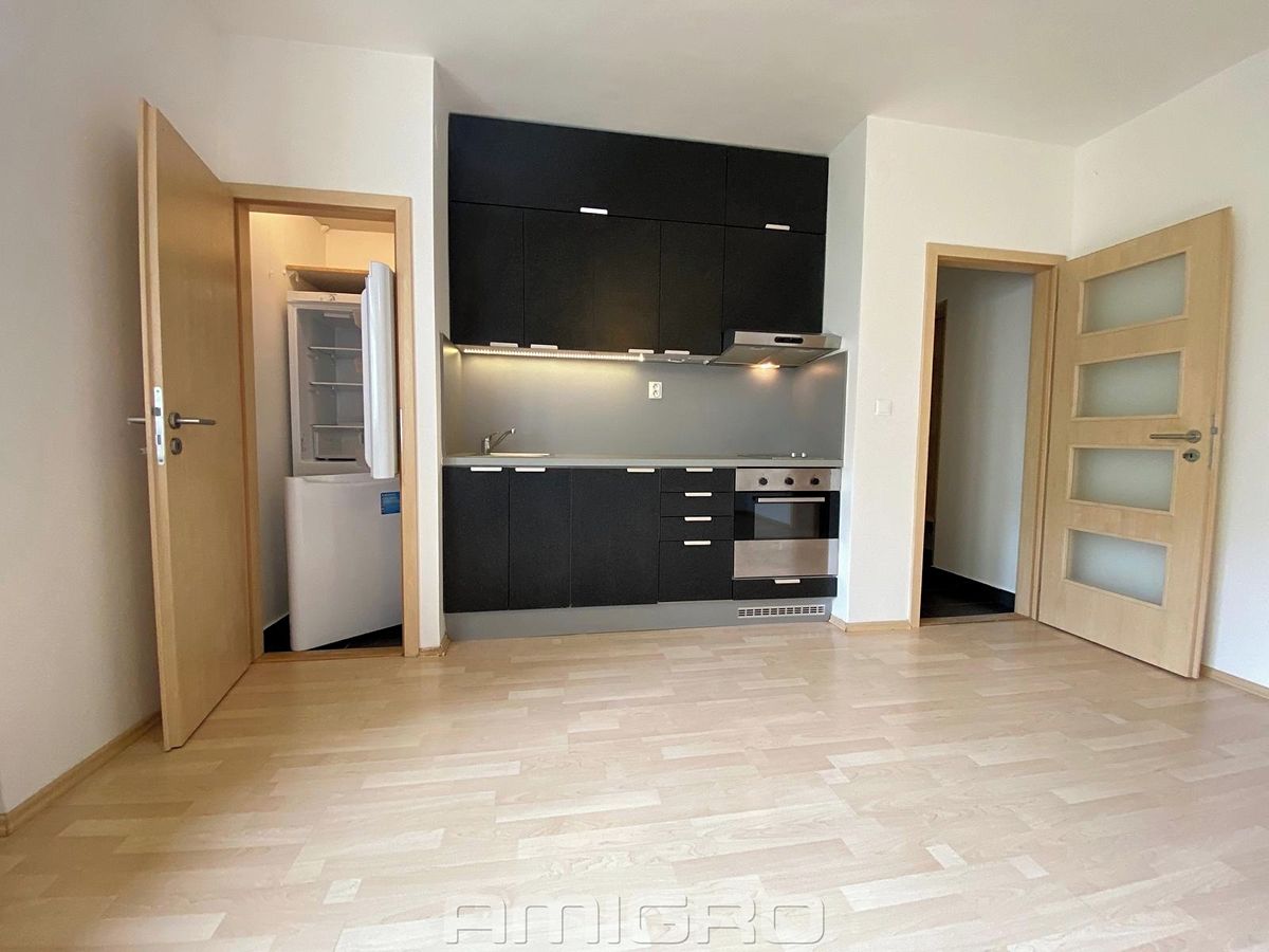 Pronájem bytu 2+kk 46 m² – fotografie 2