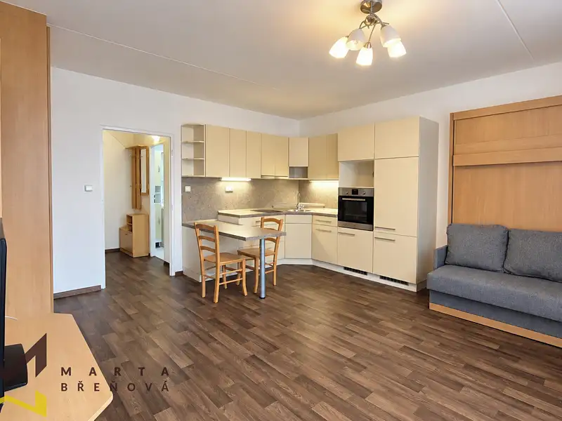 Pronájem bytu 1+kk, 33 m², Brno-město, Brno