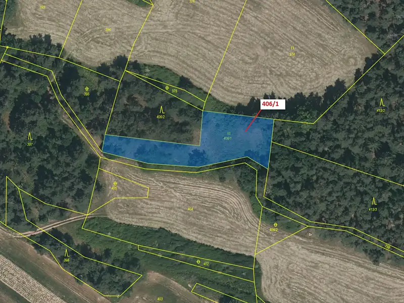 Dražba louky 1762 m², Velký Bor – náhled fotky 2