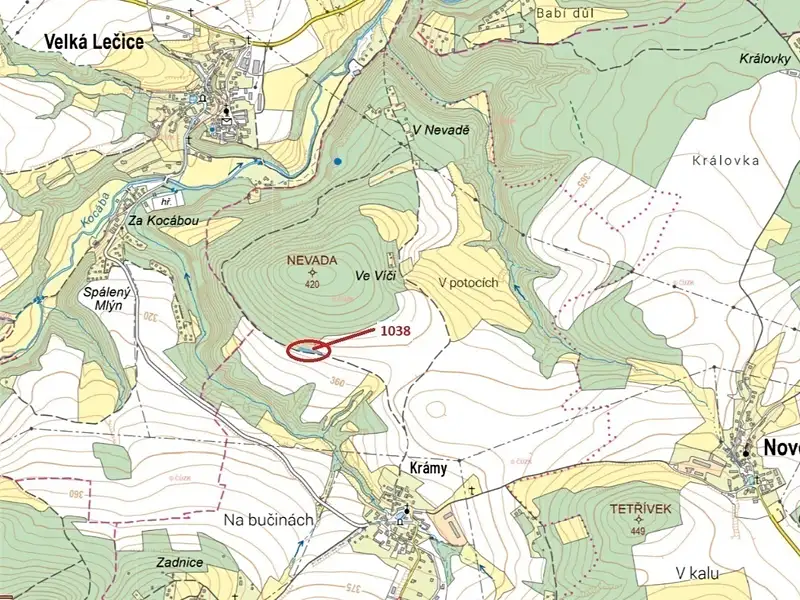 Dražba lesa 953 m², Nové Dvory – náhled fotky 1