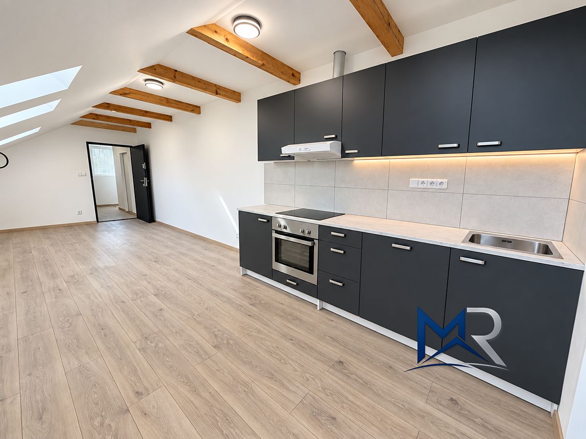 Pronájem bytu 1+kk 45 m²