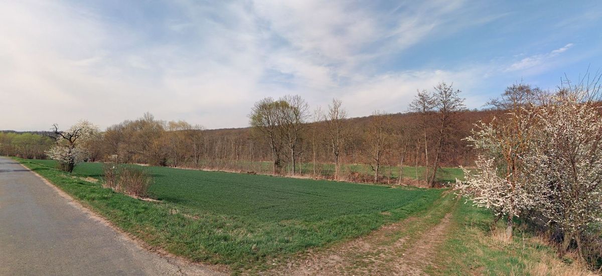 Prodej louky 20868 m² – fotografie 4