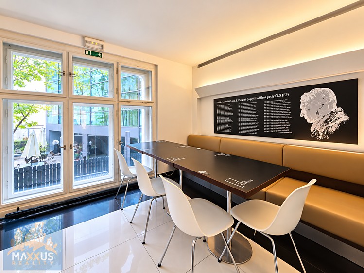 Pronájem komerčního prostoru, 145 m² (25 z 30)