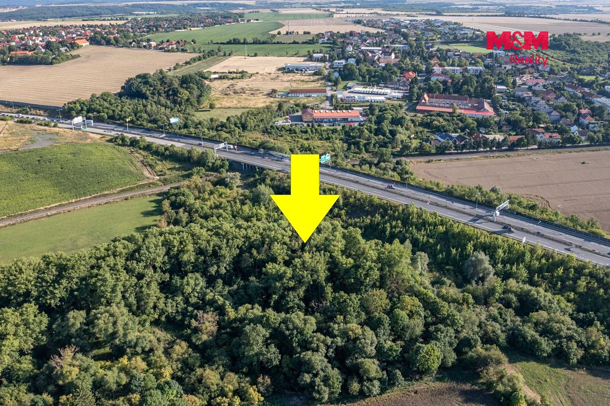 Prodej lesa 8894 m² – fotografie 5