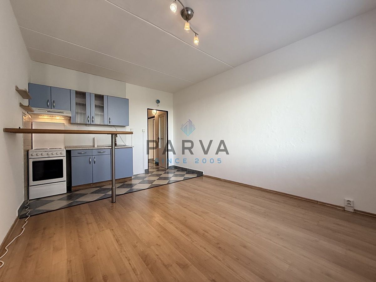 Pronájem bytu 1+1 47 m² – fotografie 3