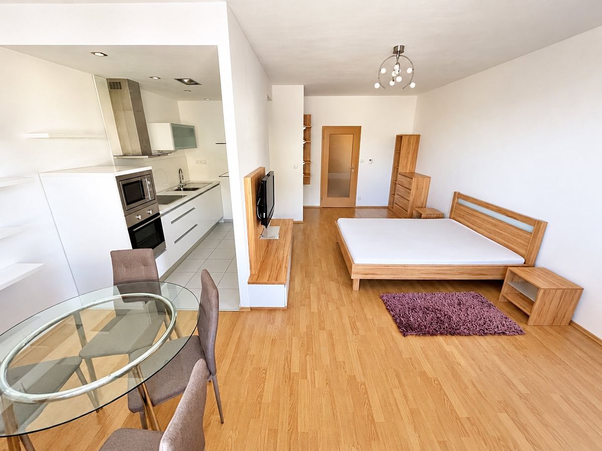 Pronájem bytu 1+kk 45 m²