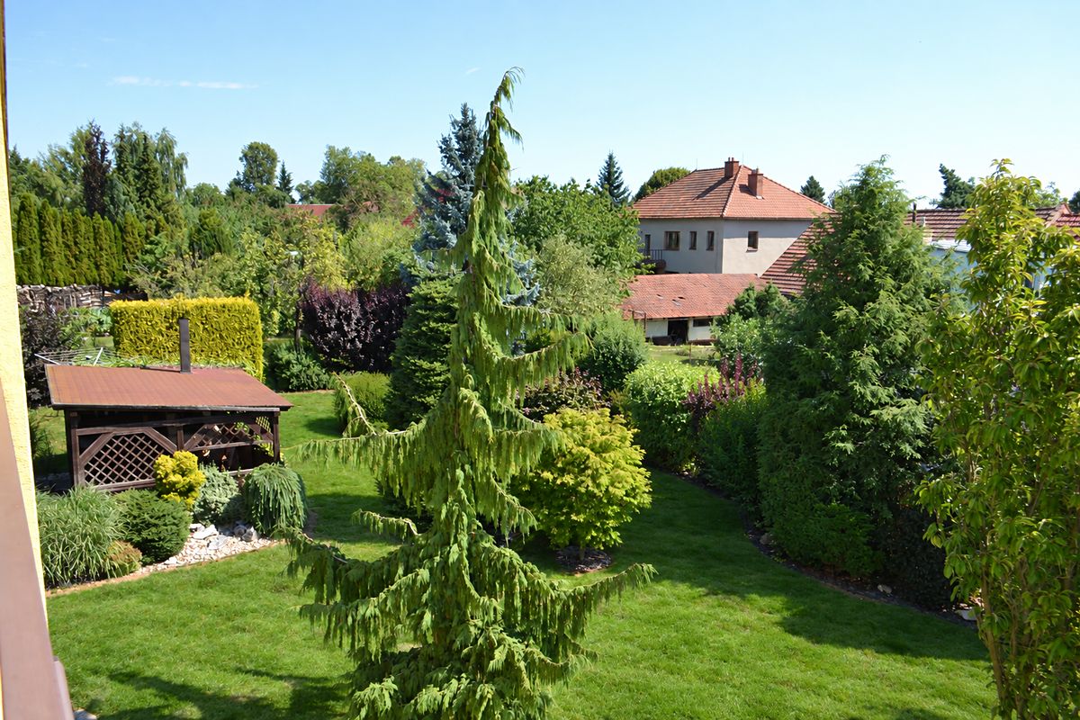 Prodej rodinného domu 255 m², pozemek 1243 m² – fotografie 3