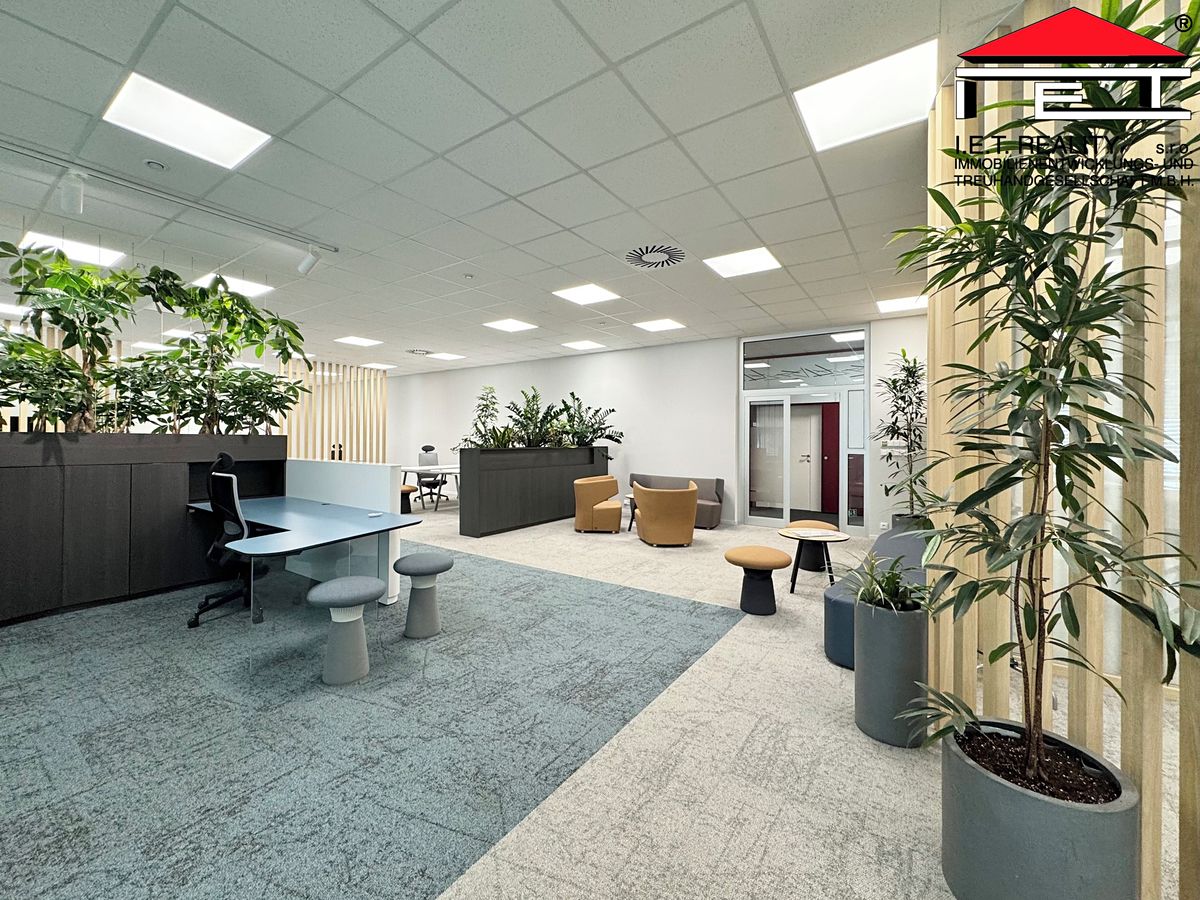 Pronájem kanceláře 342 m² – fotografie 2