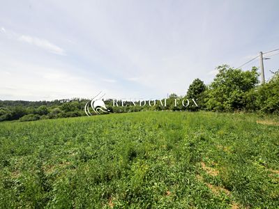 Prodej pole 2077 m²