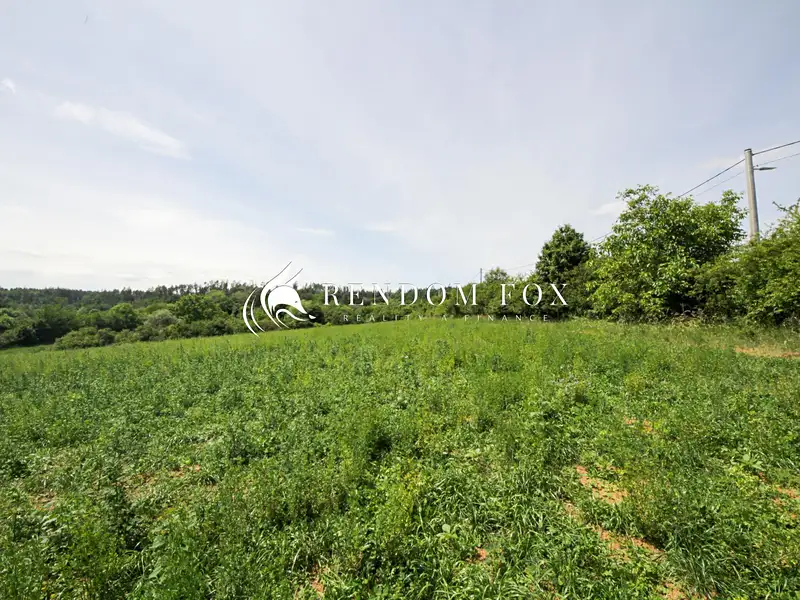 Prodej pole 2077 m², Říčany – náhled fotky 1