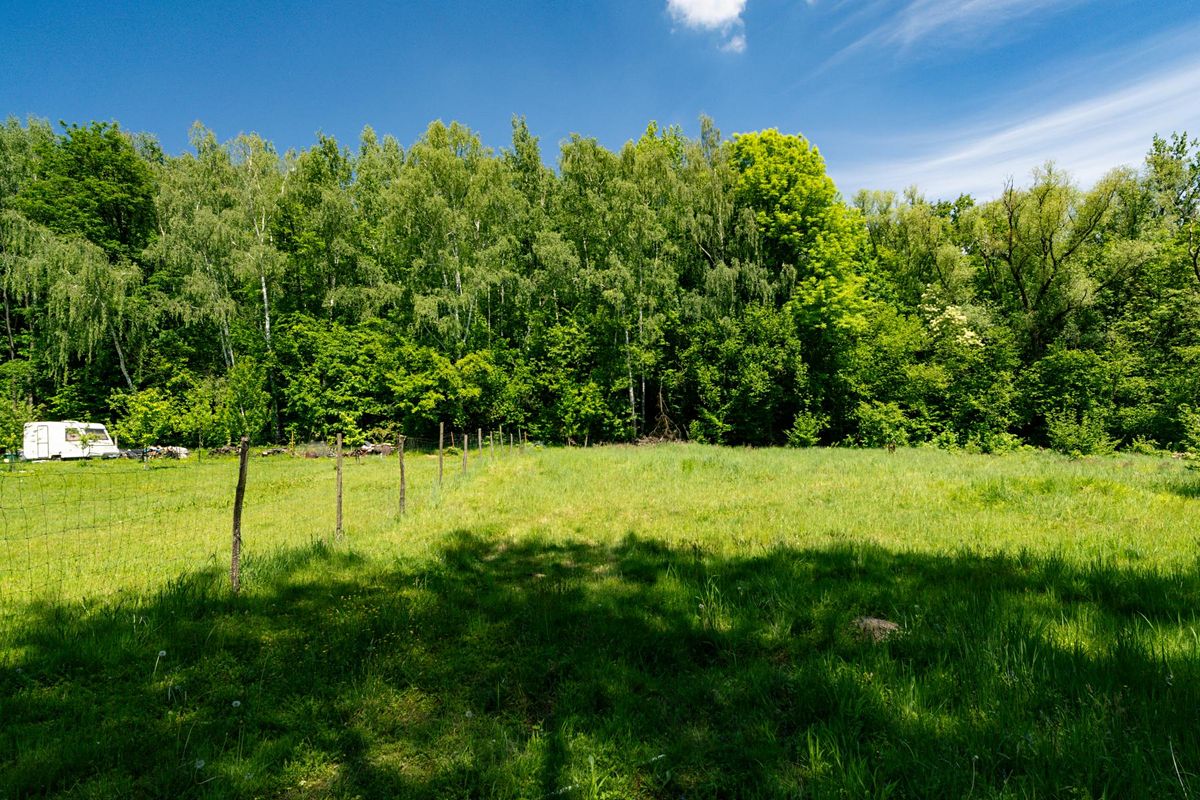 Prodej zahrady 2646 m² – fotografie 3