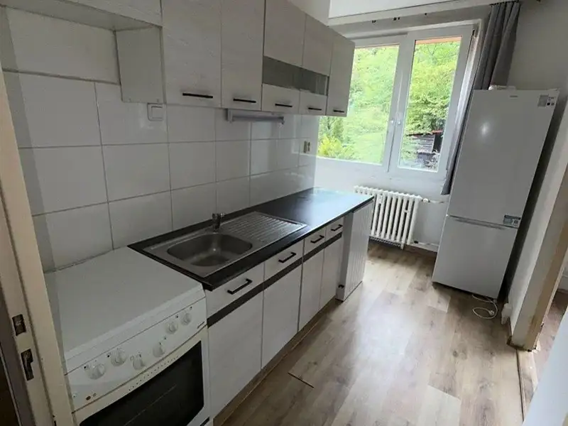 Pronájem bytu 2+1 53 m², Ústí nad Labem – náhled fotky 1