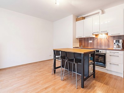 Prodej bytu 1+kk, 94 m² (2 z 18)