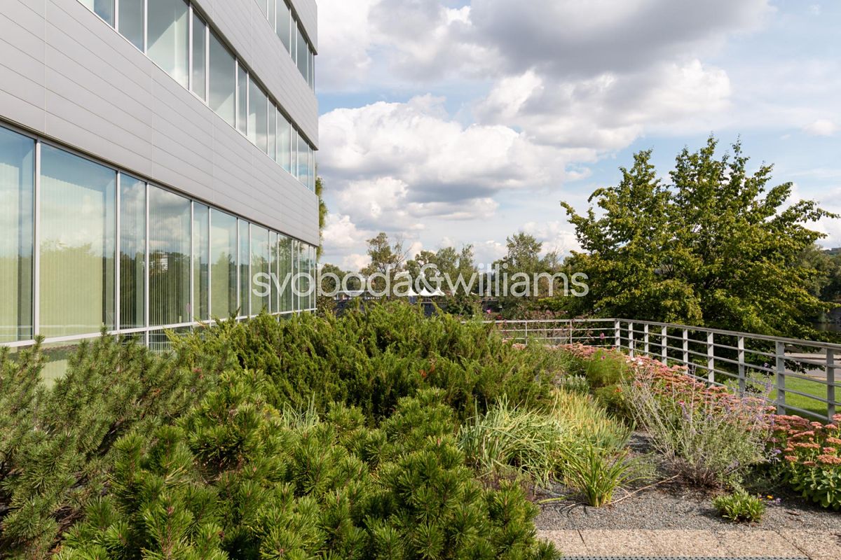 Pronájem obchodního prostoru 291 m² – fotografie 3